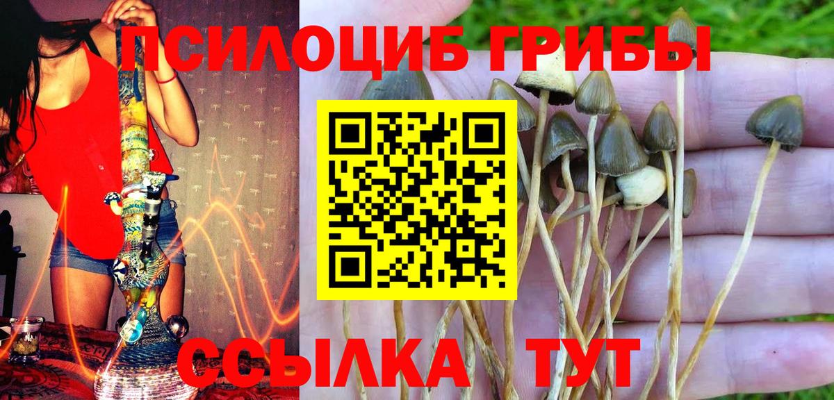 Конаково  Галлюциногенные грибы мицелий  Вход с VPN 