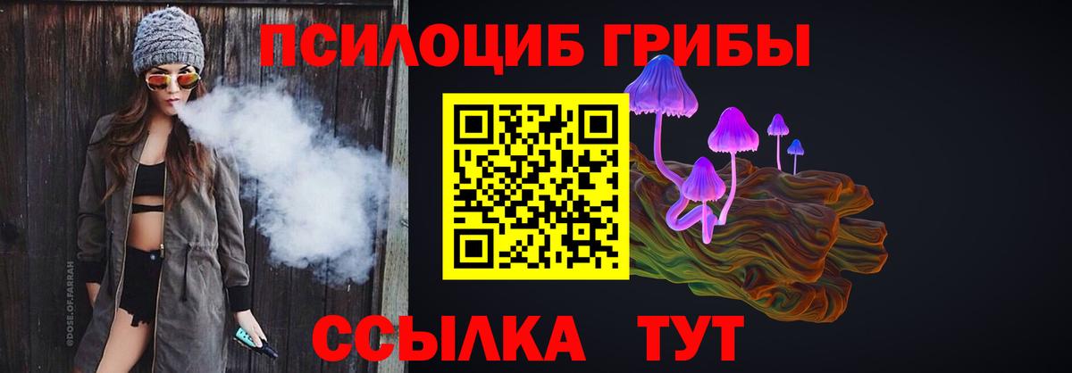 Галлюциногенные грибы Cubensis Конаково